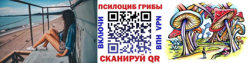 Псилоцибиновые грибы ЛСД  Купить закладки  Лукоянов 